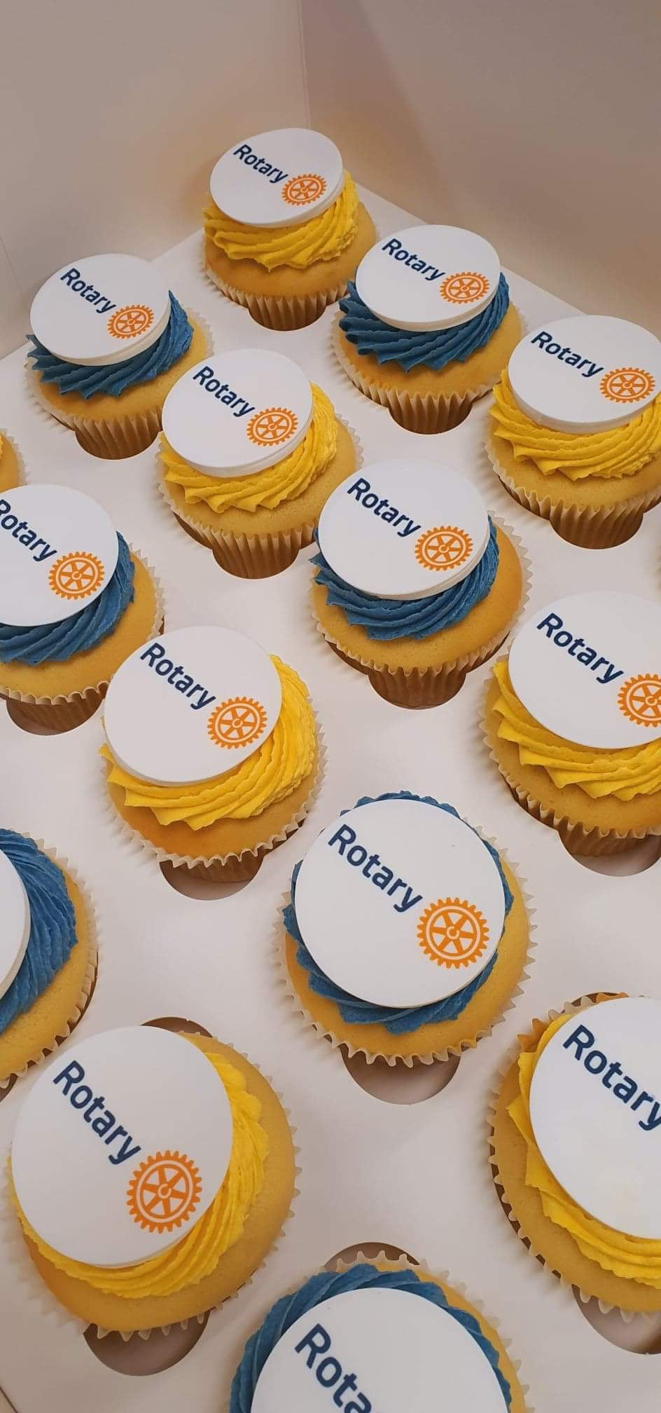 Edible Print Cupcakes x 12
